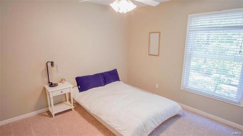 9 Rainfield Ct, Ballwin, MO 63021 photo 18