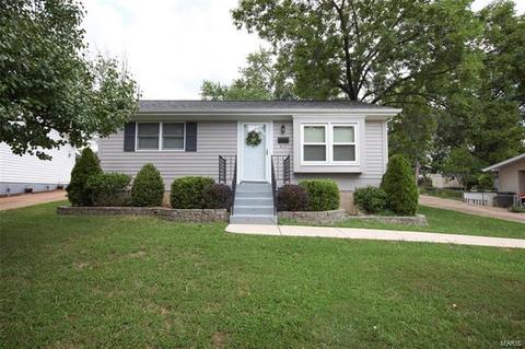 417 Hillcrest Blvd, Ballwin, MO 63021 photo 17