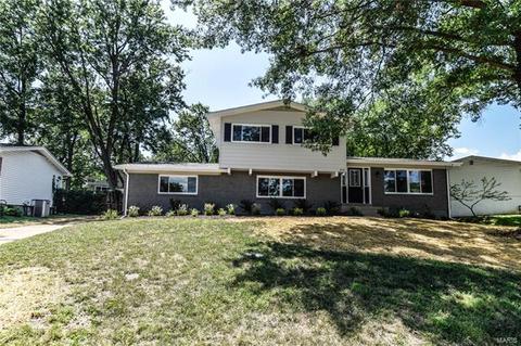 413 Scottfield Ter, Ballwin, MO 63011 photo 1