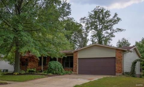 1109 Patsy Ln, O'fallon, MO 63366 photo 2