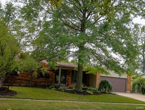 1109 Patsy Ln, O'fallon, MO 63366 photo 3