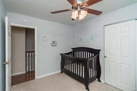 673 Walnut Point Ct, Ballwin, MO 63021 photo 17