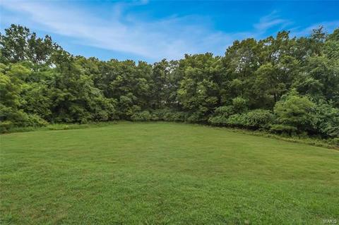 673 Walnut Point Ct, Ballwin, MO 63021 photo 6