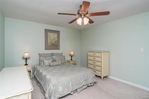 673 Walnut Point Ct, Ballwin, MO 63021 photo 21