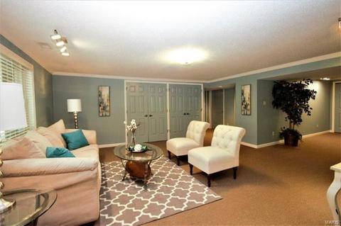 323 Redwood Forest Ct, Ballwin, MO 63021 photo 33
