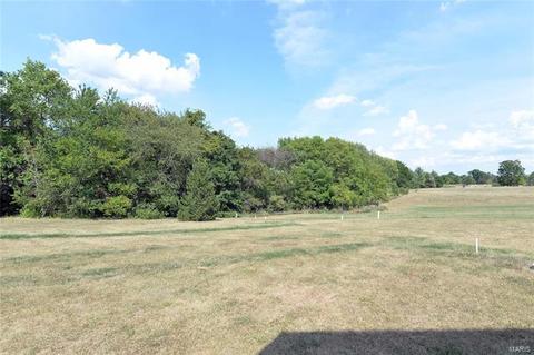 2185 Chickadee Ct, O'fallon, MO 63366 photo 39