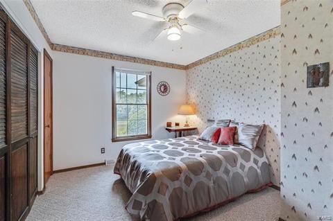 29 Bunker Dr, O'fallon, MO 63366 photo 19