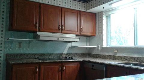 563 Meadow Brg, Ballwin, MO 63011 photo 15