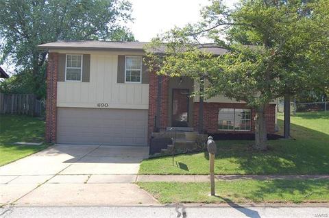 690 Walnut Point Ct, Ballwin, MO 63021 photo 1