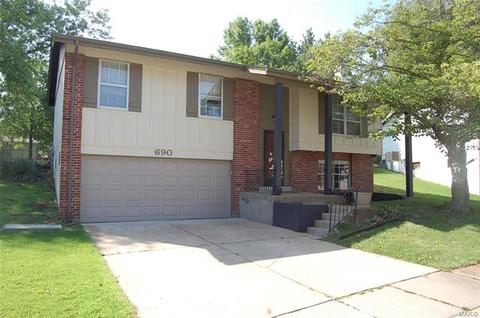 690 Walnut Point Ct, Ballwin, MO 63021 photo 2