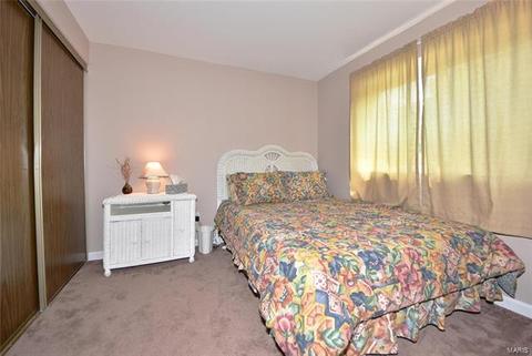 348 Parma Dr, Ballwin, MO 63021 photo 26