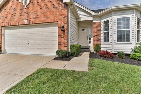 16037 Kerryton Place Dr, Ballwin, MO 63021 photo 41
