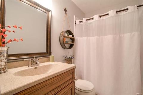 59 White Doe Ct, Eureka, MO 63025 photo 13