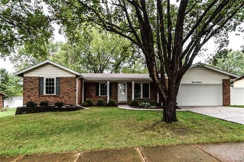1211 Derbyshire Dr, Manchester, MO 63021 photo 1