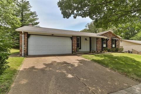 1104 Holgate Dr, Manchester, MO 63021 photo 2