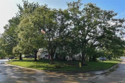 511 Chapparal Dr, O'fallon, MO 63368 photo 29