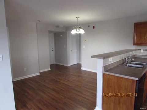 9200 Spring Creek Ln, O'fallon, MO 63368 photo 12
