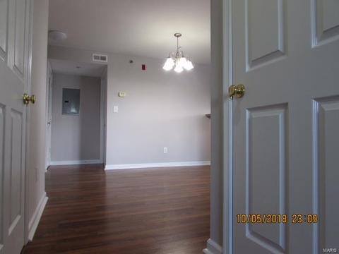 9200 Spring Creek Ln, O'fallon, MO 63368 photo 16