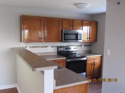 9200 Spring Creek Ln, O'fallon, MO 63368 photo 9