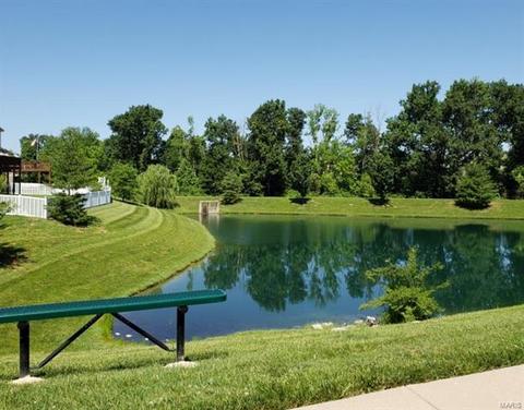 9200 Spring Creek Ln, O'fallon, MO 63368 photo 28