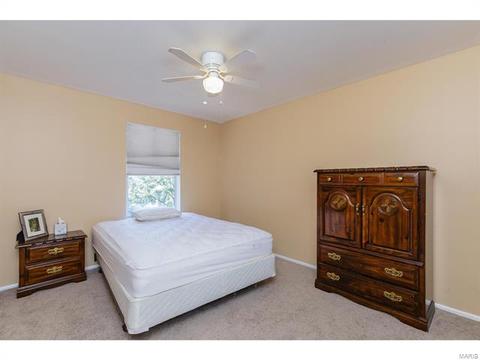 39 Coach Line Dr, O'fallon, MO 63368 photo 31