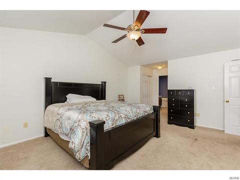 39 Coach Line Dr, O'fallon, MO 63368 photo 24