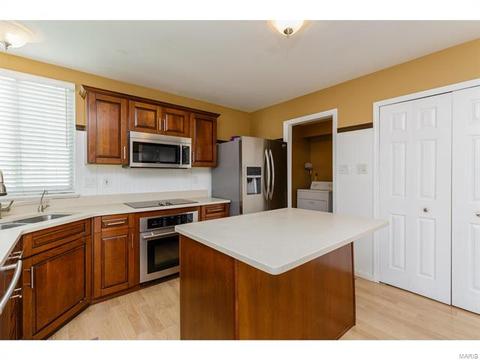 39 Coach Line Dr, O'fallon, MO 63368 photo 17
