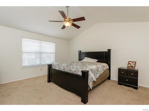 39 Coach Line Dr, O'fallon, MO 63368 photo 23