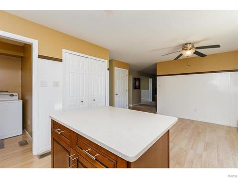 39 Coach Line Dr, O'fallon, MO 63368 photo 18