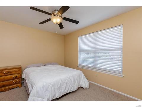 39 Coach Line Dr, O'fallon, MO 63368 photo 29