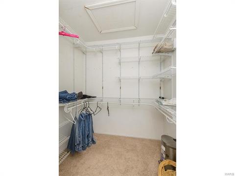 39 Coach Line Dr, O'fallon, MO 63368 photo 27