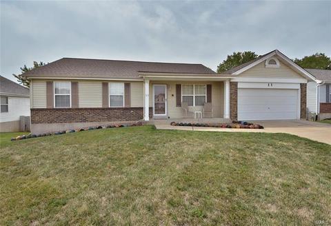 11 Jacqueline Cir, O'fallon, MO 63368 photo 31
