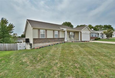 11 Jacqueline Cir, O'fallon, MO 63368 photo 32
