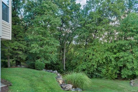 1320 Renaissance Pl, Weldon Spring, MO 63304 photo 59