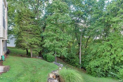 1320 Renaissance Pl, Weldon Spring, MO 63304 photo 58
