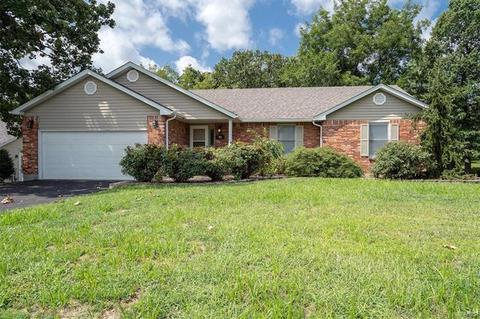 705 Stephen Dr, Festus, MO 63028 photo 1