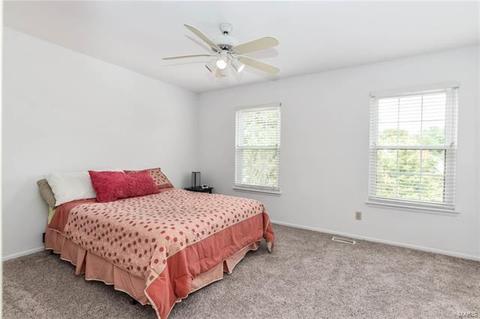 668 Canary Estates Dr, Manchester, MO 63021 photo 20