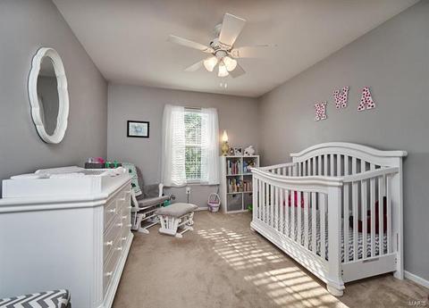 715 Whispering Willow, O'fallon, MO 63366 photo 11