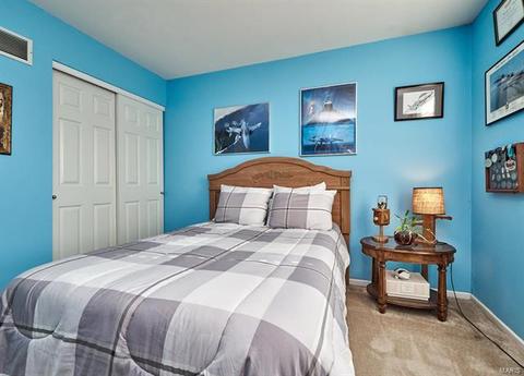 715 Whispering Willow, O'fallon, MO 63366 photo 14