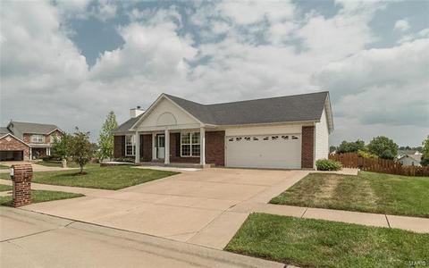 1104 Sunset Green Dr, O'fallon, MO 63366 photo 4