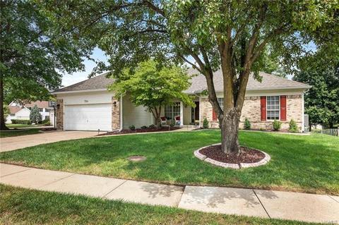 724 Juniper Glen Ct, Ballwin, MO 63021 photo 29