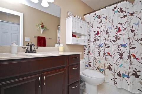 16508 Forest Pine Dr, Wildwood, MO 63011 photo 22