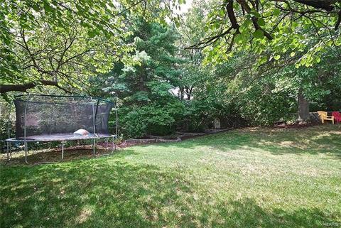 16508 Forest Pine Dr, Wildwood, MO 63011 photo 41