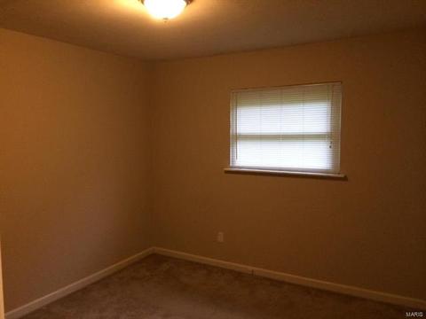 703 Saint Paul Ln, O'fallon, MO 63366 photo 4