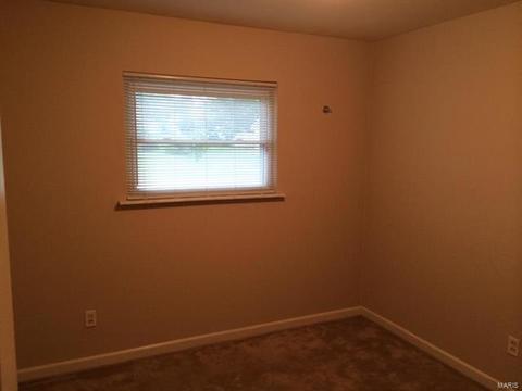 703 Saint Paul Ln, O'fallon, MO 63366 photo 5