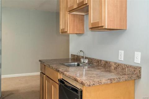 4630 Hickory Ridge View Ct, Eureka, MO 63025 photo 21