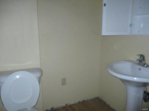 703 Daffodil, O'fallon, MO 63366 photo 6