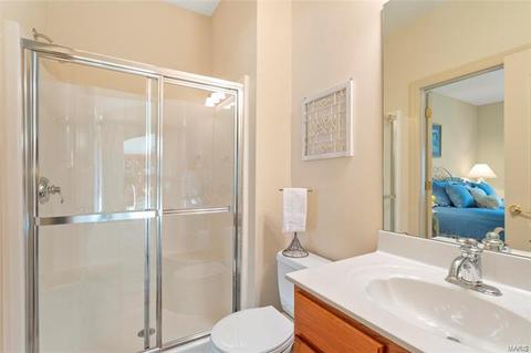1106 Ridgeway Meadow Dr, Ellisville, MO 63021 photo 27
