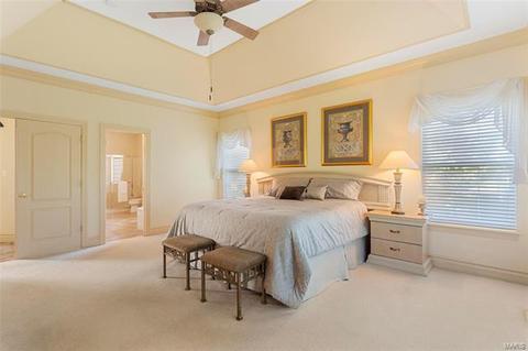1106 Ridgeway Meadow Dr, Ellisville, MO 63021 photo 21