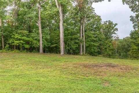 100 Norfork Ct, Defiance, MO 63341 photo 44